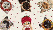 Cats