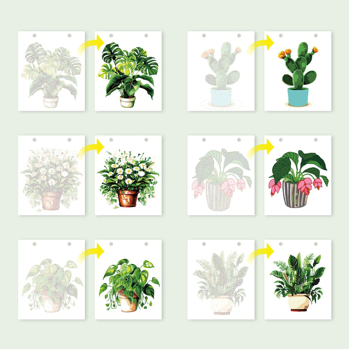Calendrier 2027 peinture par numéro Plantes d'Intérieur, Maison Artsen – vue 15