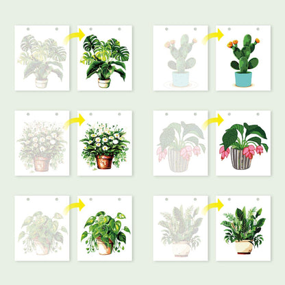 Calendrier 2027 peinture par numéro Plantes d'Intérieur, Maison Artsen – vue 15