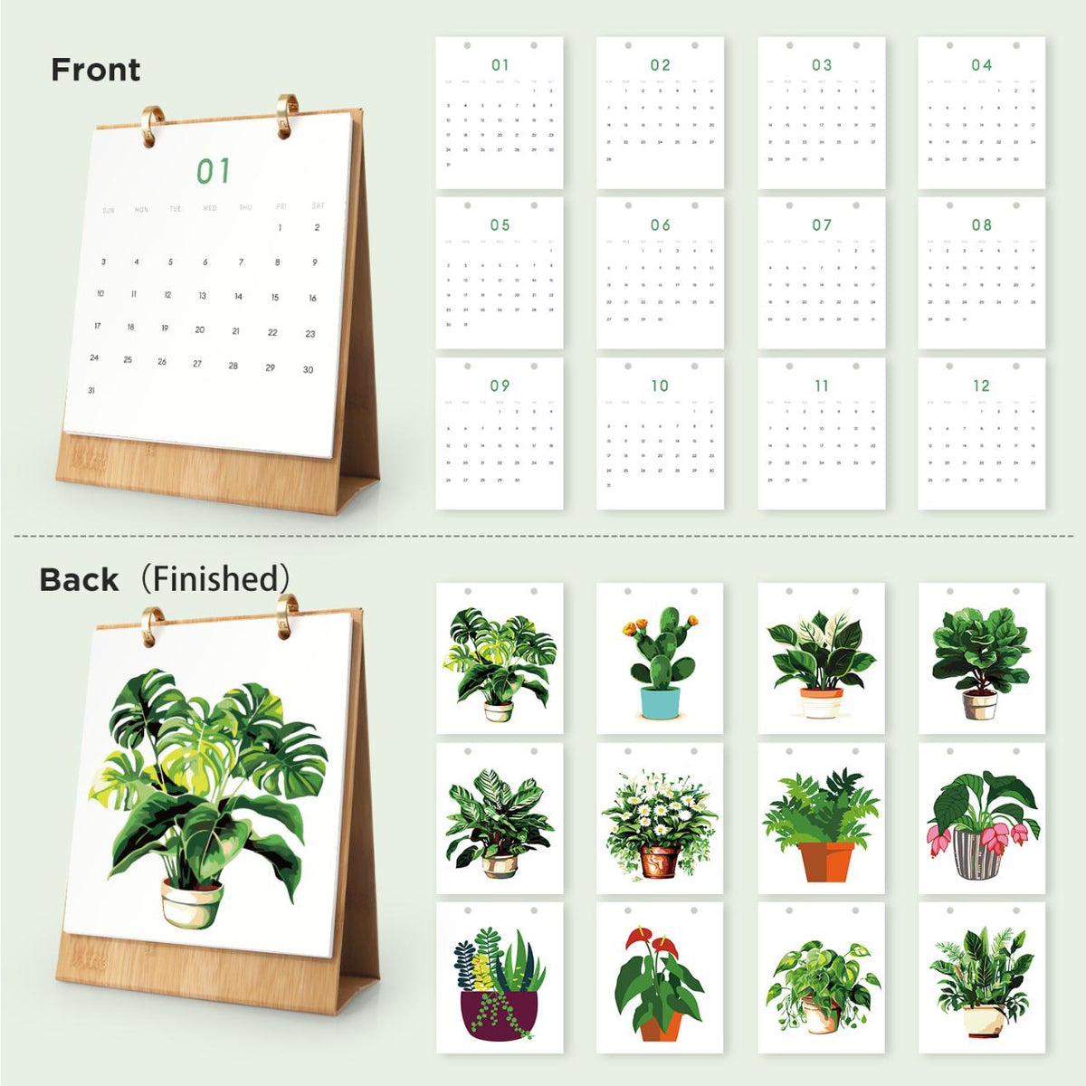 Calendrier 2027 peinture par numéro Plantes d'Intérieur, Maison Artsen – vue 16