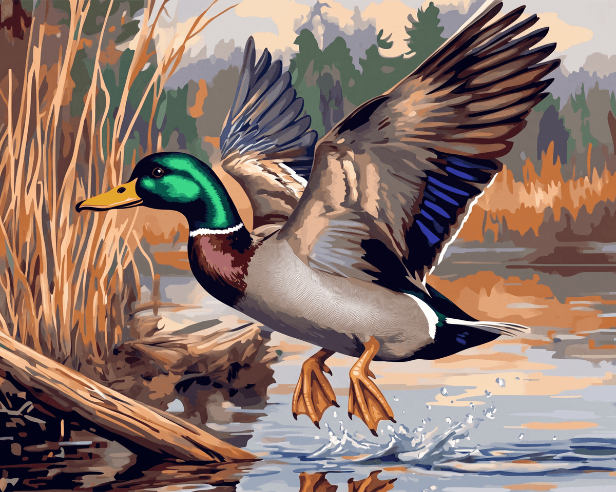 Peinture par numéro adulte Colvert à l'Envol, visuel complet du design sur toile, Maison Artsen