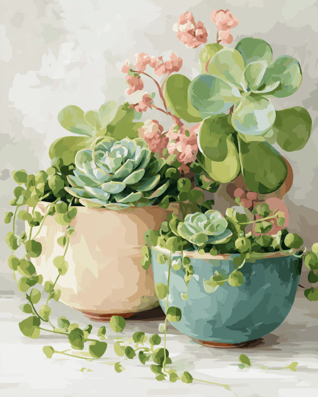 Peinture par numéro adulte Succulentes de Printemps, visuel complet du design sur toile, Maison Artsen