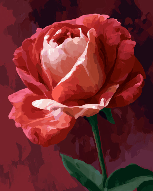 Peinture par numéro adulte Rose Cramoisie, visuel complet du design sur toile, Maison Artsen