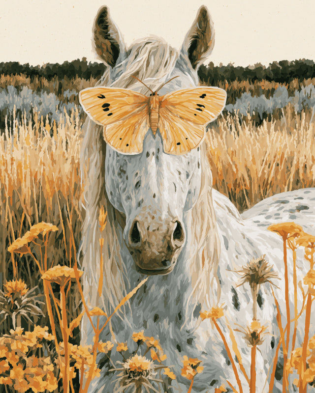 Peinture par numéro adulte Cheval au Papillon, visuel complet du design sur toile, Maison Artsen