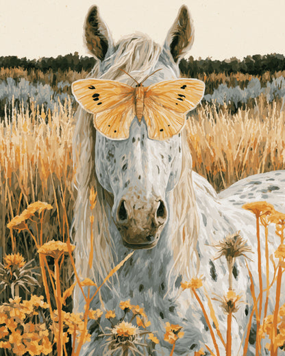 Peinture par numéro adulte Cheval au Papillon, visuel complet du design sur toile, Maison Artsen