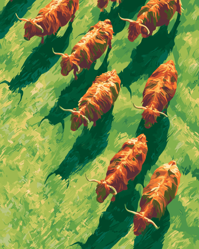 Peinture par numéro adulte Vaches Highland au Galop, visuel complet du design sur toile, Maison Artsen