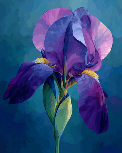 Peinture par numéro adulte Iris Violet sur Fond Bleu, visuel complet du design sur toile, Maison Artsen