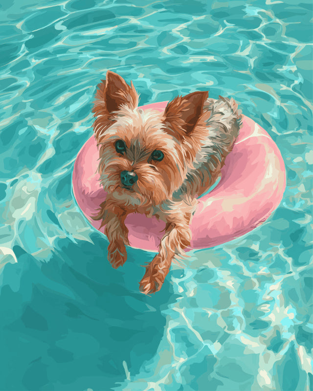 Peinture par numéro adulte Yorkshire à la Piscine, visuel complet du design sur toile, Maison Artsen
