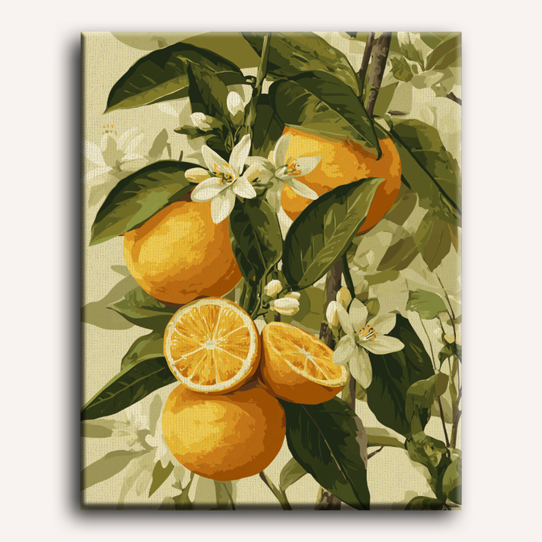 Citrus in Bloom Paint-by-Numbers Kit displayed as wall art – Maison Artsen