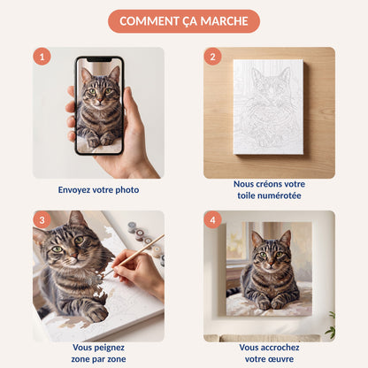 Les 4 étapes : envoyer la photo de son chat, recevoir la toile numérotée, peindre, accrocher