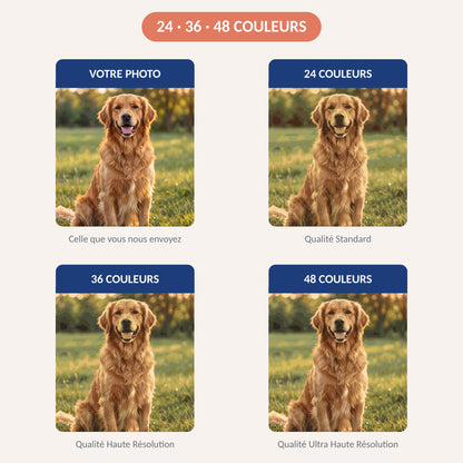 Comparatif 24, 36 et 48 couleurs pour un portrait de chien en peinture par numéro