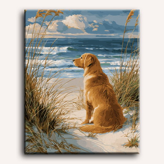 Peinture par numéro adulte Golden Retriever à la Plage, visuel complet du design sur toile — Maison Artsen