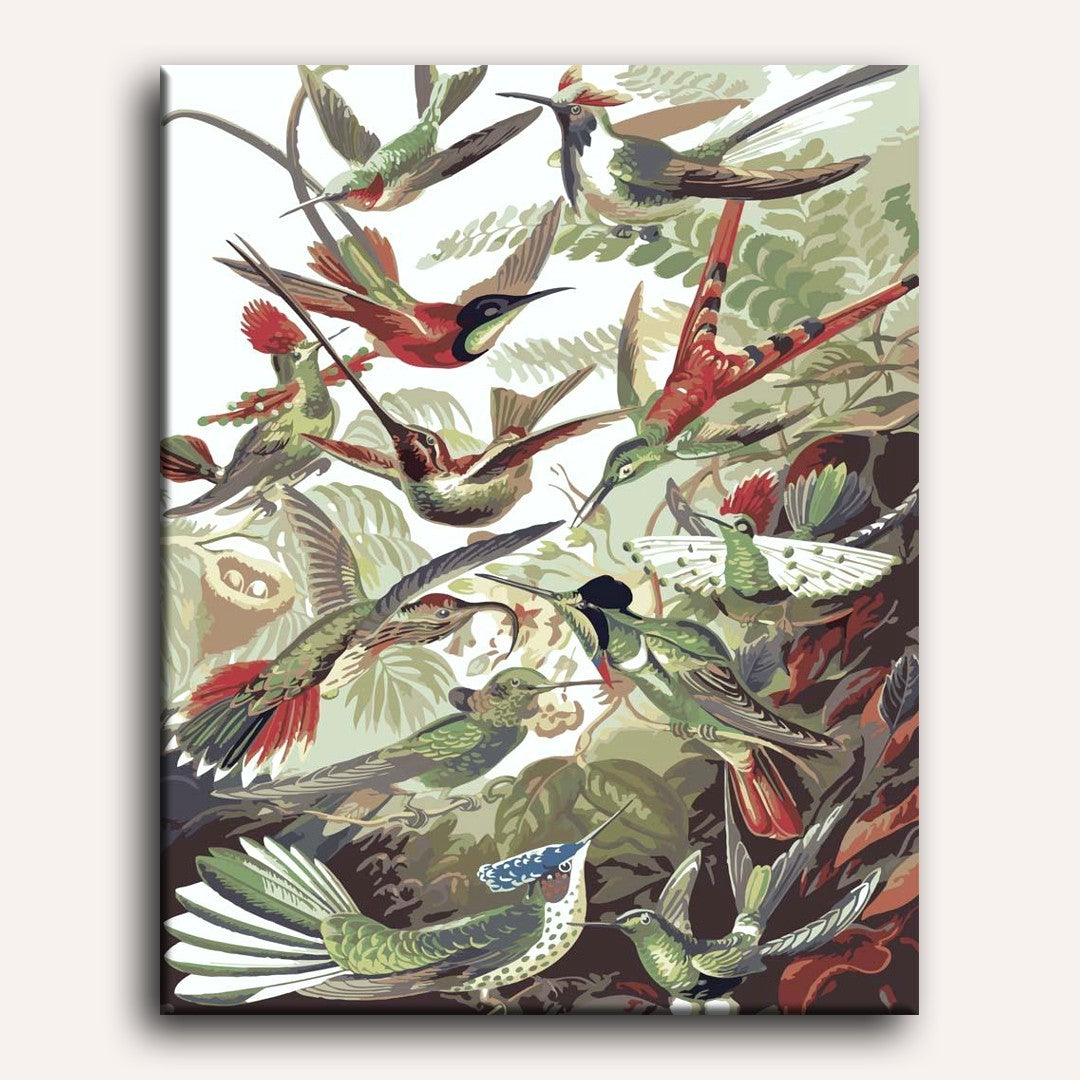 Peinture par numéro adulte Colibris Haeckel, visuel complet du design sur toile — Maison Artsen