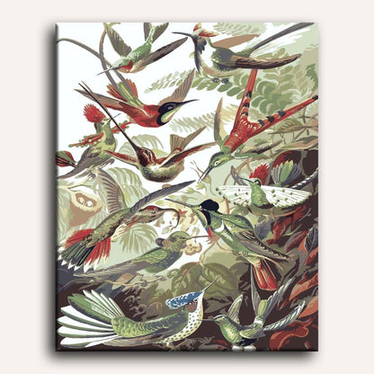 Peinture par numéro adulte Colibris Haeckel, visuel complet du design sur toile — Maison Artsen