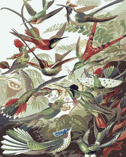 Peinture par numéro adulte Colibris Haeckel, visuel complet du design sur toile — Maison Artsen