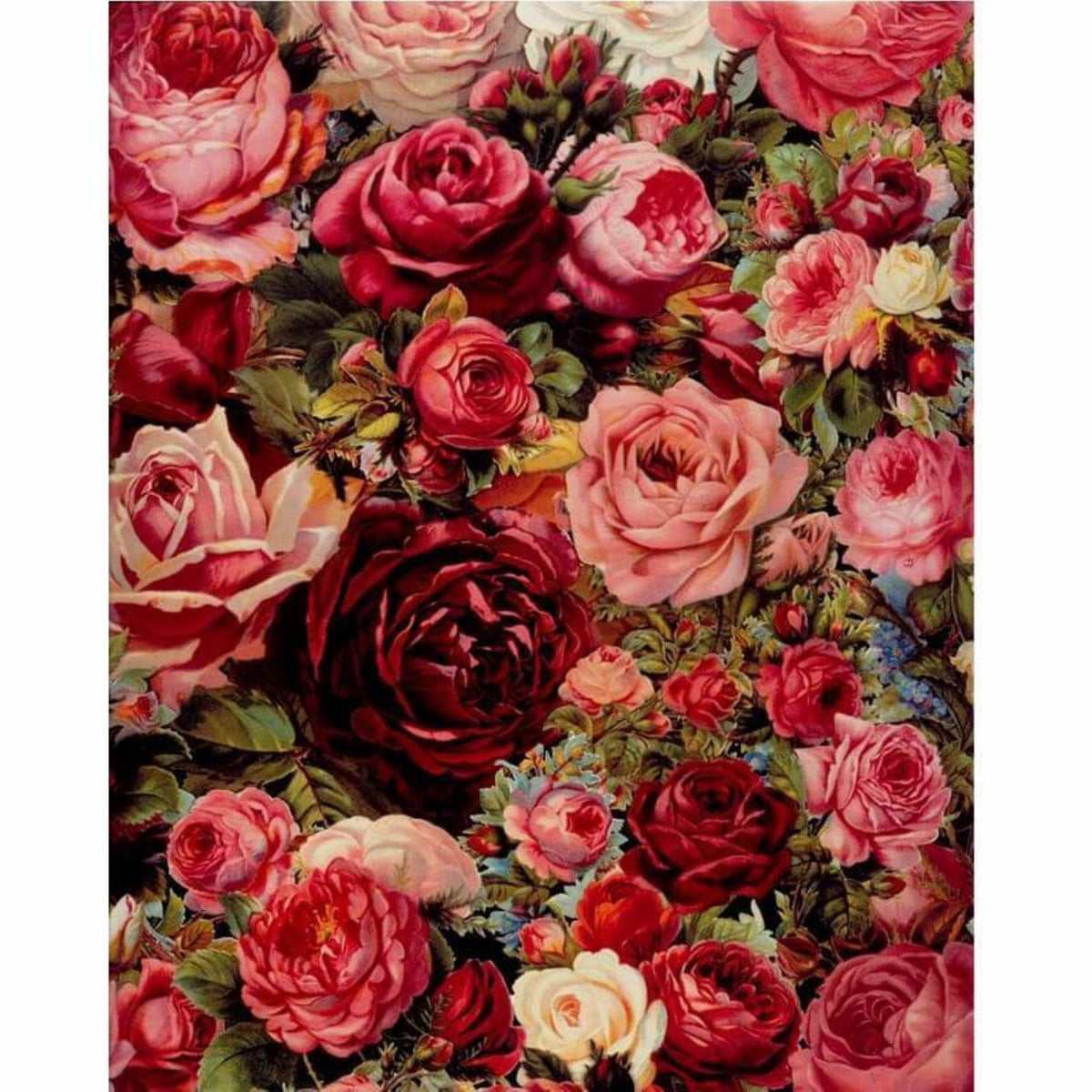 Peinture par numéro adulte Océan de Roses, visuel complet du design sur toile — Maison Artsen
