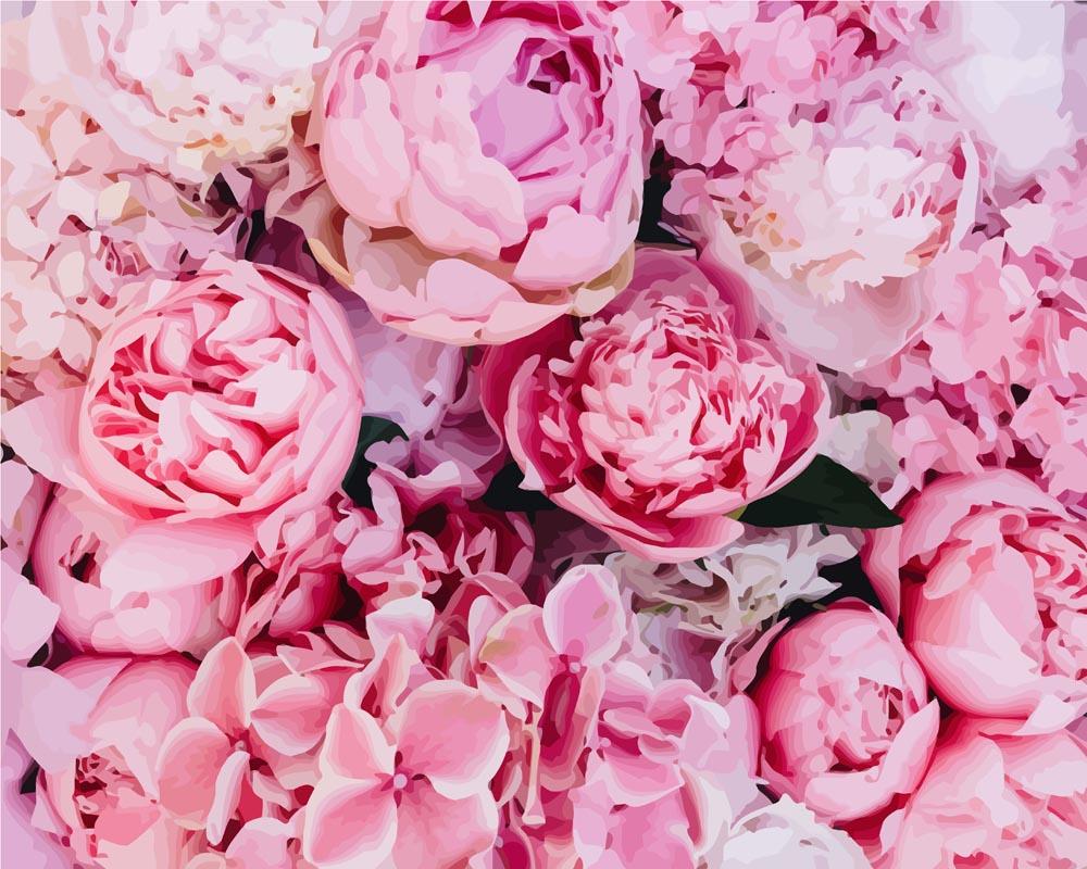 Pink Peony Backdrop Paint-by-Numbers Kit – Maison Artsen