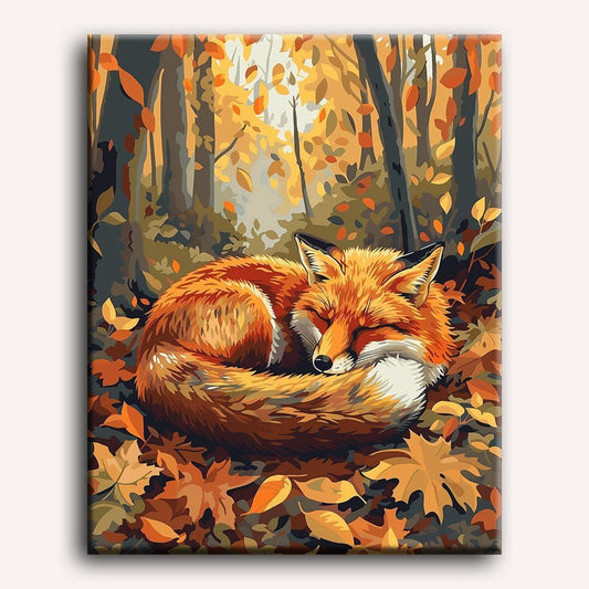 Peinture par numéro adulte Renard Endormi, toile tendue 30×40 cm — Maison Artsen