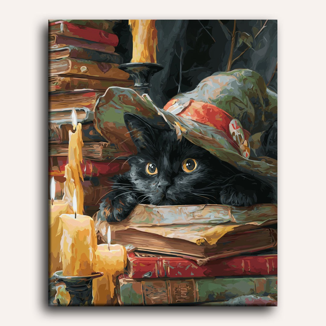 Witch's Cat Paint-by-Numbers Kit – Maison Artsen