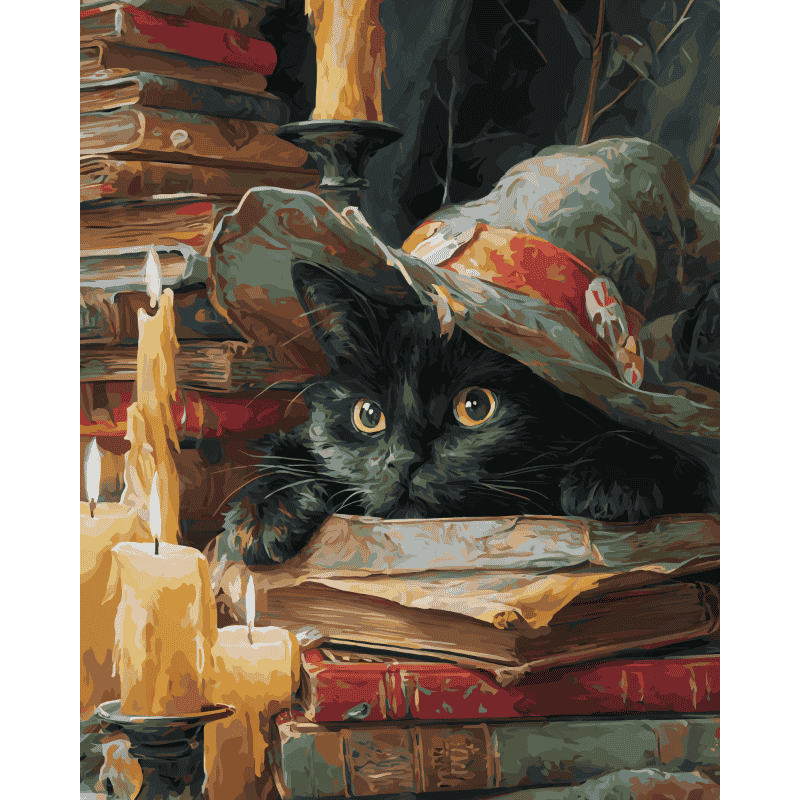 Witch's Cat Paint-by-Numbers Kit – Maison Artsen