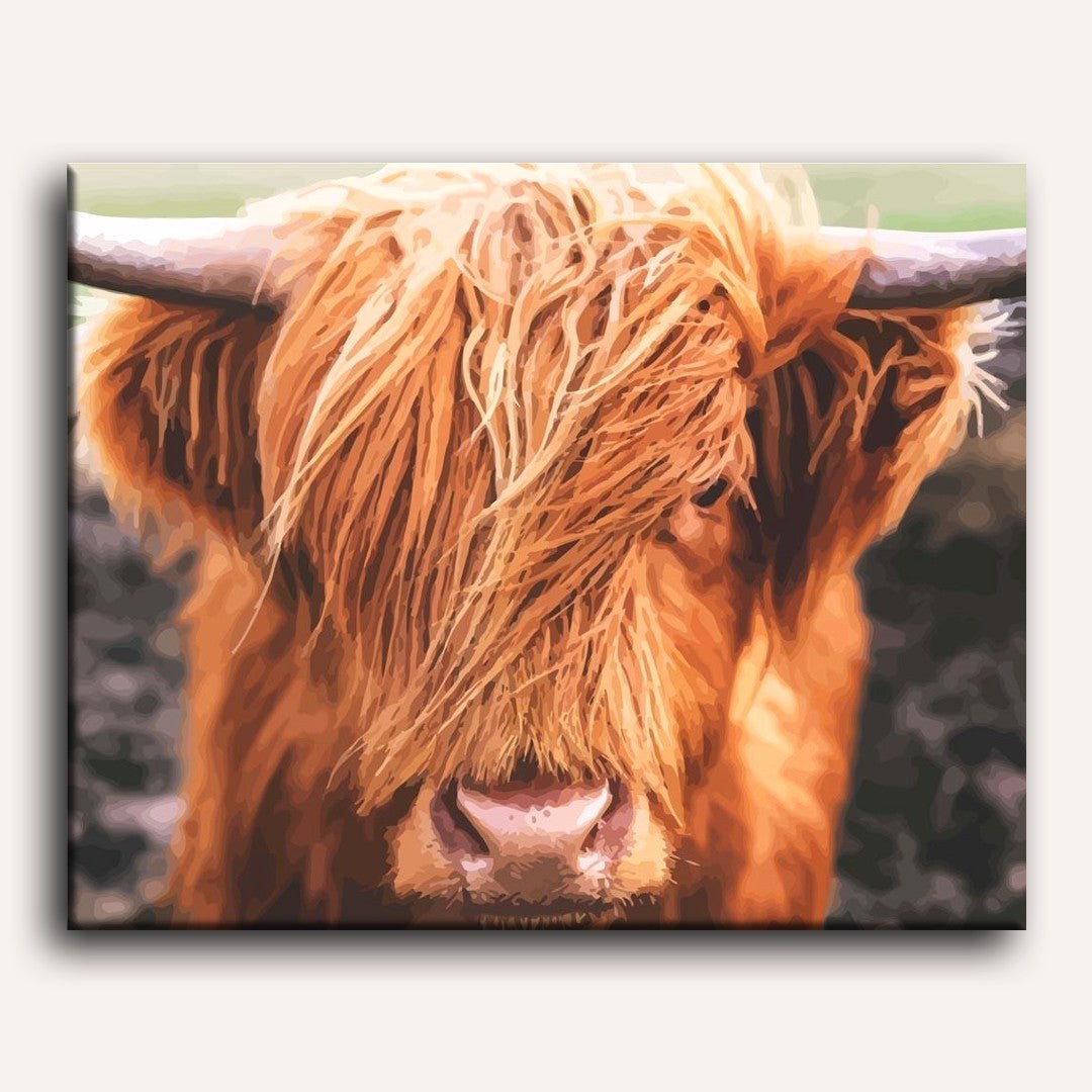 Peinture par numéro adulte Vache des Highlands, visuel complet du design sur toile — Maison Artsen
